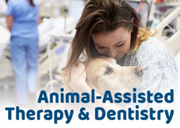 Minneapolis dentist, Dr. Maggie Thompson at Skyway Dental Clinic discusses pros and cons of animal-assisted therapy (AAT) in the dental office.
